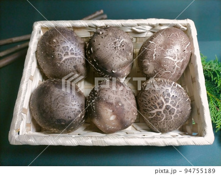 生椎茸 かご盛② 生椎茸 かご盛② 94755189