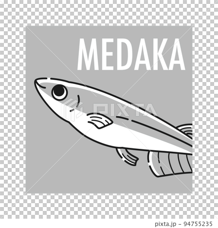 Medaka icon (black and white) Medaka icon (black and white) 94755235