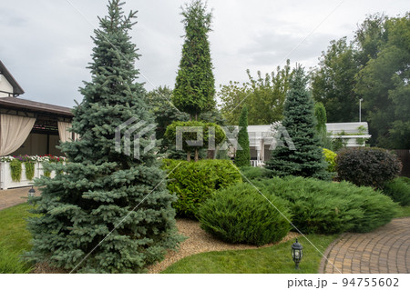 The house stands a steady state of elegant trees and shrubs. Landscaping, beautiful green well-groomed garden 94755602