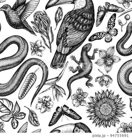 Tropical animals seamless pattern background...のイラスト素材 [94755691] - PIXTA