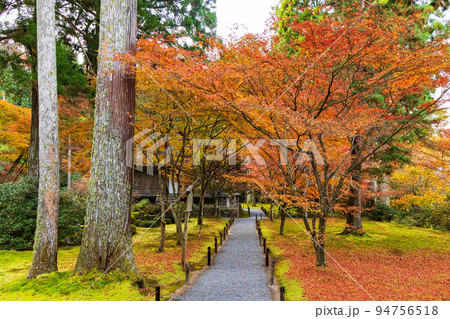 京都大原の秋　紅葉の三千院　有清園 94756518