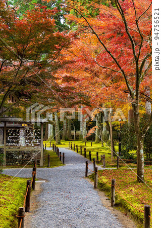 京都大原の秋　紅葉の三千院　有清園 94756521