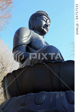 乗蓮寺(板橋) 乗蓮寺(板橋) 94757535