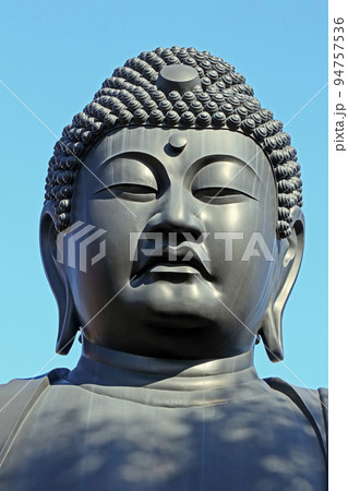 乗蓮寺（板橋） 94757536