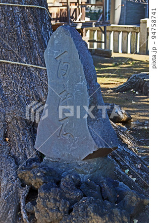 赤塚諏訪神社(板橋) 赤塚諏訪神社(板橋) 94758741