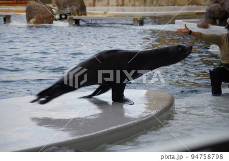 水族館の仲間たち 94758798
