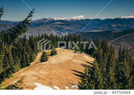 Snow-capped mountains, meadow among coniferous forest, spring, winter 94758986