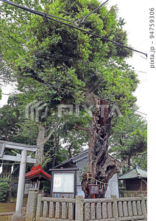 小豆沢神社(板橋) 小豆沢神社(板橋) 94759306