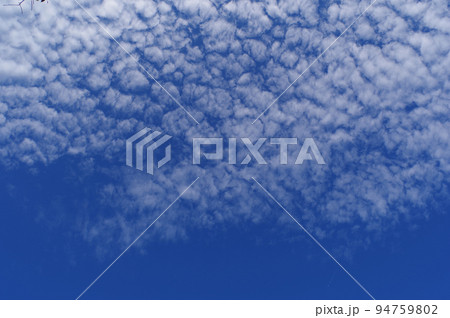 秋の空【うろこ雲】 94759802