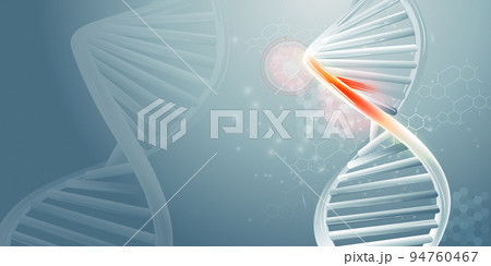 DNA double helix strands and scientific data infographics. 94760467