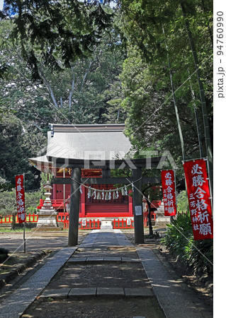 三芳野神社(川越) 三芳野神社(川越) 94760990