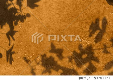 Shadow of leaves on brown concrete wall texture background 94761171