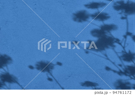 Shadow of grass on blue concrete wall texture background Shadow of grass on blue concrete wall texture background 94761172