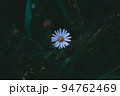 花 花びら フル 94762469