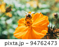 ミツバチ 着 花 94762473