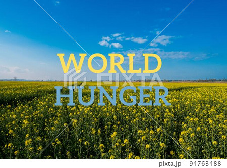 Text WORLD HUNGER against defocused agriculture field message. Global hunger, food crisis, inflation, high prices, increasing living expenses and poverty, financial crisis concept illustrating food Text WORLD HUNGER against defocused agriculture field message. Global hunger, food crisis, inflation, high prices, increasing living expenses and poverty, financial crisis concept illustrating food 94763488