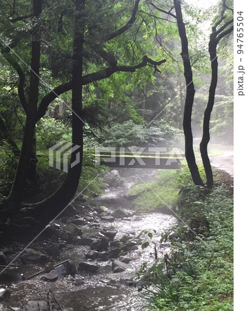 八王子市の風景・朝靄の小津川 八王子市の風景・朝靄の小津川 94765504