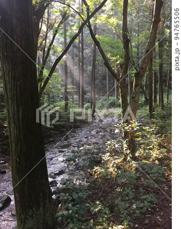 八王子市の風景・小津川に朝日射す 八王子市の風景・小津川に朝日射す 94765506