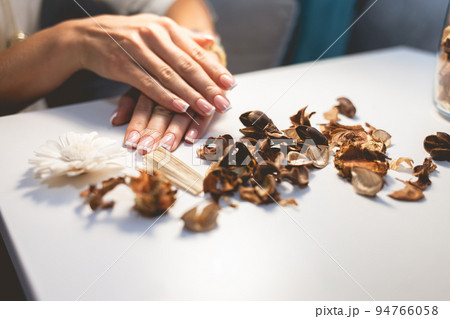 Delicate female hands with a beautiful french manicure. Nail polish. Delicate female hands with a beautiful french manicure. Nail polish. 94766058