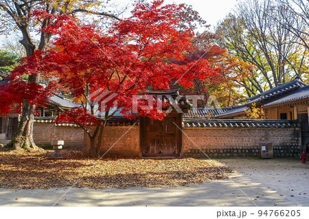 風景 故宮 宮殿 94766205