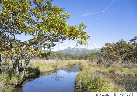 栃木県那須塩原市 沼ッ原湿原の風景 栃木県那須塩原市 沼ッ原湿原の風景 94767274