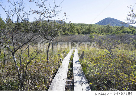 栃木県那須塩原市 沼ッ原湿原の風景 94767294