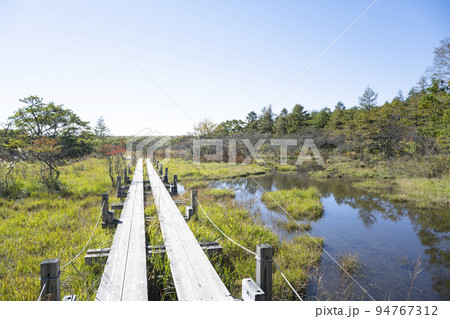 栃木県那須塩原市 沼ッ原湿原の風景 94767312