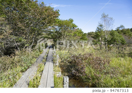 栃木県那須塩原市 沼ッ原湿原の風景 94767313
