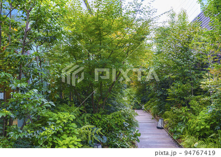 ホテル阪急レスパイア大阪　屋外庭園 94767419