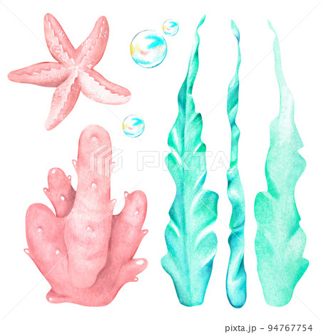 Algae, coral and starfish set. Watercolor illustration. Isolated on a white background. 94767754