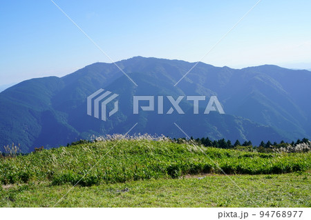 葛城高原のススキの原と笹の原・背景金剛山 葛城高原のススキの原と笹の原・背景金剛山 94768977