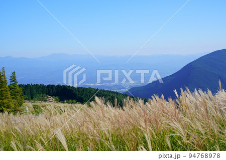 葛城高原のススキの原と笹の原・背景金剛山 葛城高原のススキの原と笹の原・背景金剛山 94768978