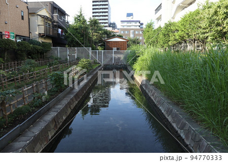 門前仲町 古石場川親水公園 門前仲町 古石場川親水公園 94770333