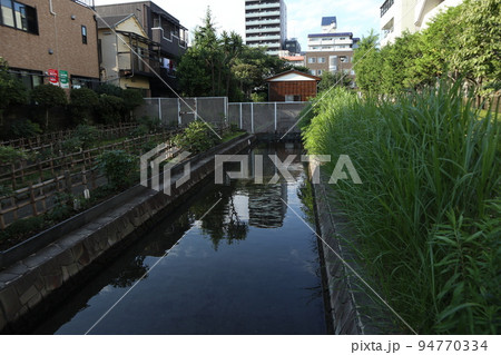 門前仲町 古石場川親水公園 門前仲町 古石場川親水公園 94770334