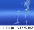 人体骨格　骨　スケルトンCG　人間　体 94770462