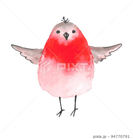 Watercolor cartoon bullfinch on white background. Watercolor cartoon bullfinch on white background. 94770791