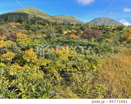 八甲田ゴードラインより赤倉岳、井戸岳および大岳を望む 94771681