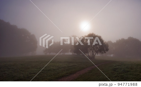 Mystic fog in the park, autumn landscape with fog and light rays 94771988