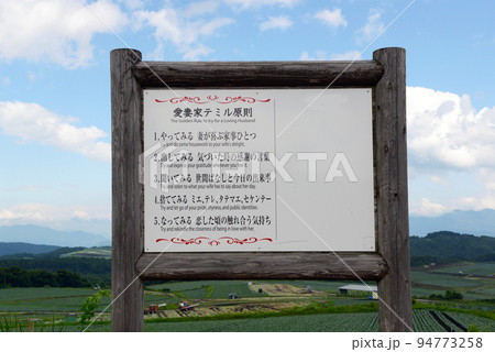 「キャベツ畑の中心で妻に愛を叫ぶ」イベントが行われる、群馬県の嬬恋の「愛妻の丘」付近の風景 94773258