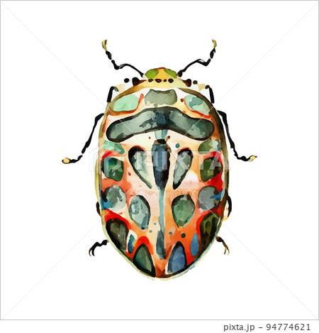 Green watercolor beetle. Watercolor vector illustration isolted on white 94774621