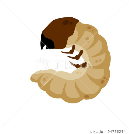 Insect larva. White caterpillar. Little worm parasite. Insect larva. White caterpillar. Little worm parasite. 94776254
