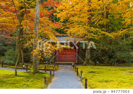 京都大原の秋　紅葉の三千院　朱雀門 94777003