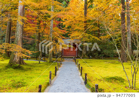 京都大原の秋 紅葉の三千院 朱雀門 京都大原の秋 紅葉の三千院 朱雀門 94777005