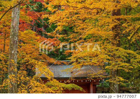 京都大原の秋 紅葉の三千院 朱雀門 京都大原の秋 紅葉の三千院 朱雀門 94777007
