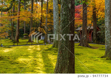 京都大原の秋 紅葉の三千院 有清園 京都大原の秋 紅葉の三千院 有清園 94777734