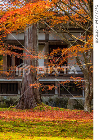 京都大原の秋　紅葉の三千院　有清園 94777741