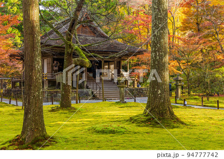 京都大原の秋　紅葉の三千院　往生極楽院 94777742