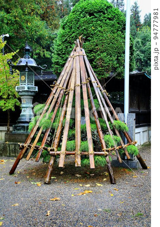 雪国・米沢の冬支度…雪囲いが施された上杉神社 雪国・米沢の冬支度…雪囲いが施された上杉神社 94777981