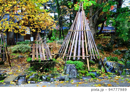 雪国・米沢の冬支度…雪囲いが施された上杉神社 雪国・米沢の冬支度…雪囲いが施された上杉神社 94777989