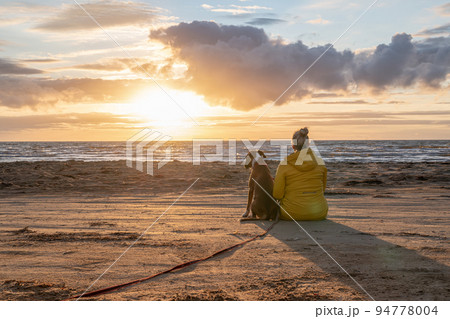 a german boxer dog sitting on the seashore during sunset with owner blonde girl team partner friend sweden melbystrand a german boxer dog sitting on the seashore during sunset with owner blonde girl team partner friend sweden melbystrand 94778004